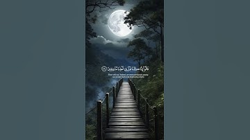 انا كنا من قبل ندعوه انه هو البر الرحيم 🖤. #قرآن #ارح_سمعك#القرآن_الكريم #تلاوة #قران_كريم #ارح_قلبك
