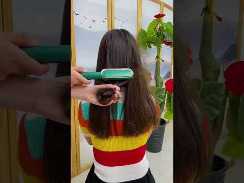 Hair Straightener Brush
