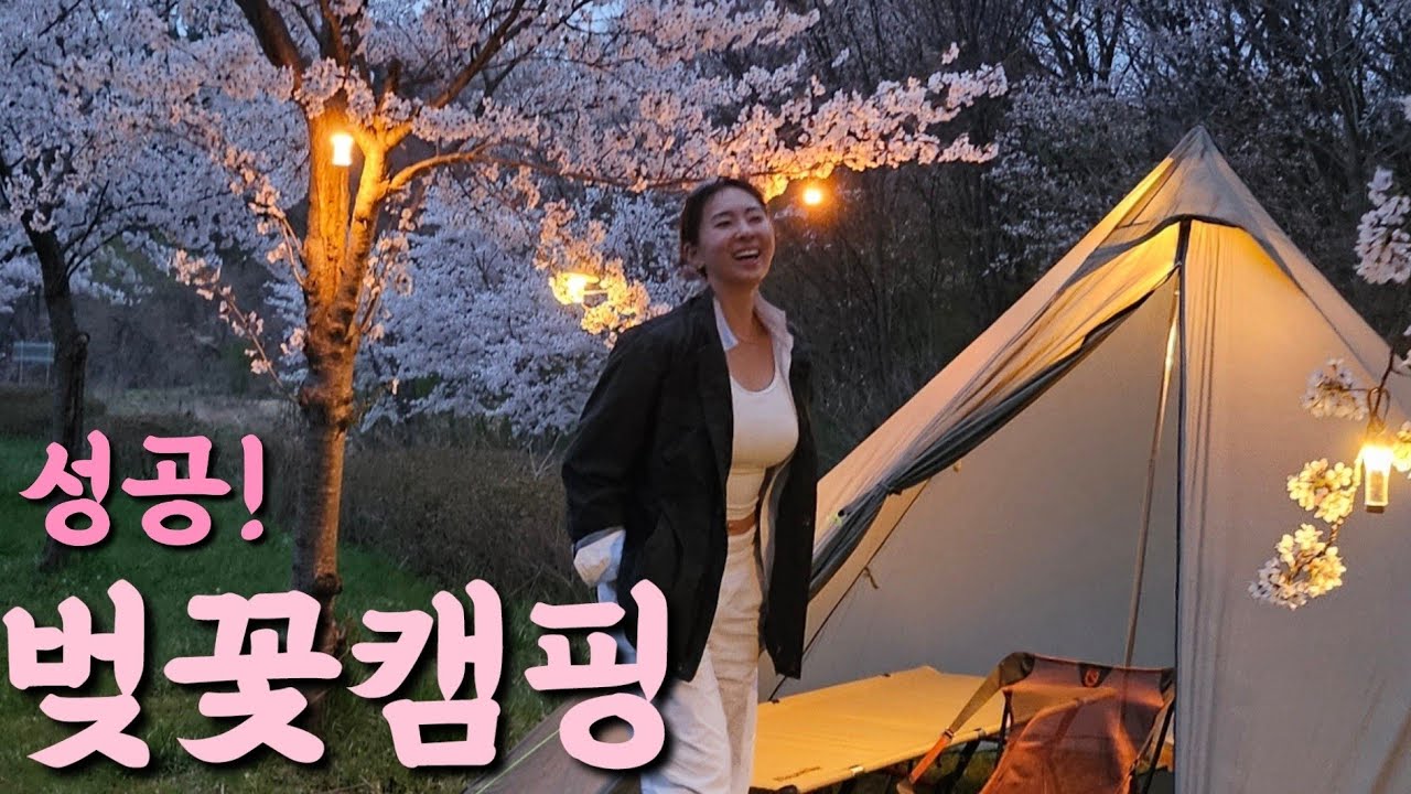 🌸벚꽃캠핑 드디어 성공🌸 | 아무도 없는 노지캠핑 | 우중캠핑☔️ | 강릉여행 | 강릉캠핑