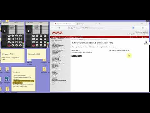 Avaya Experience Portal 8.1.0 – consultation Transfer sample app test – February 20th 2002