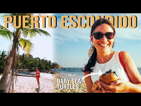 Puerto Escondido - Ultimate Travel Guide to Paradise! | Oaxaca, Mexico