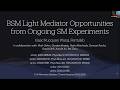 BSM Light Mediator Opportunities from On-Going SM Experiments - Isaac R. Wang, Fermilab