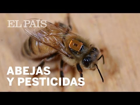Video: ¿Qué matan los pesticidas?