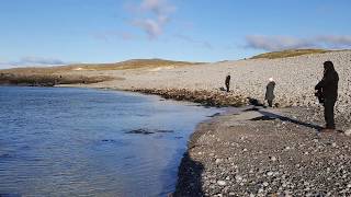 Two Seals (well a JR wanting to be a Seal)