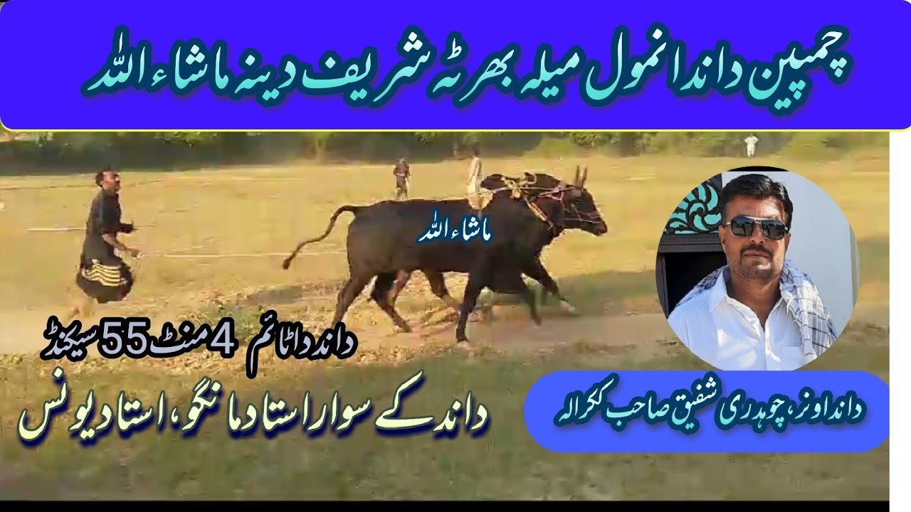 Ch Rafeeq champion bull انمول bull owner ch Rafeeq shb kakrala today mela dina ...