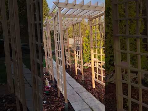 Βίντεο: Αψίδες κήπου. Μεταλλική αψίδα στο τοπίο του κήπου