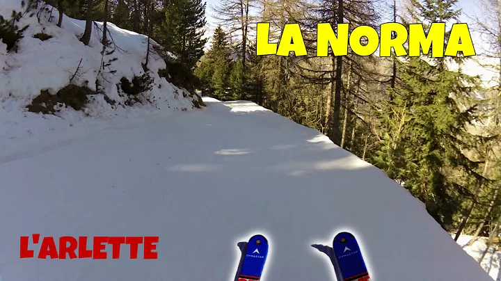 La Norma | L'Arlette Onboard