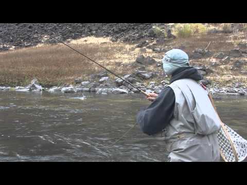 South Fork Boise River on a Dry Fly!!!