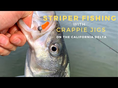 best fishing lure for brook trout which lure for stream trout fishing? : r/FishingForBeginners