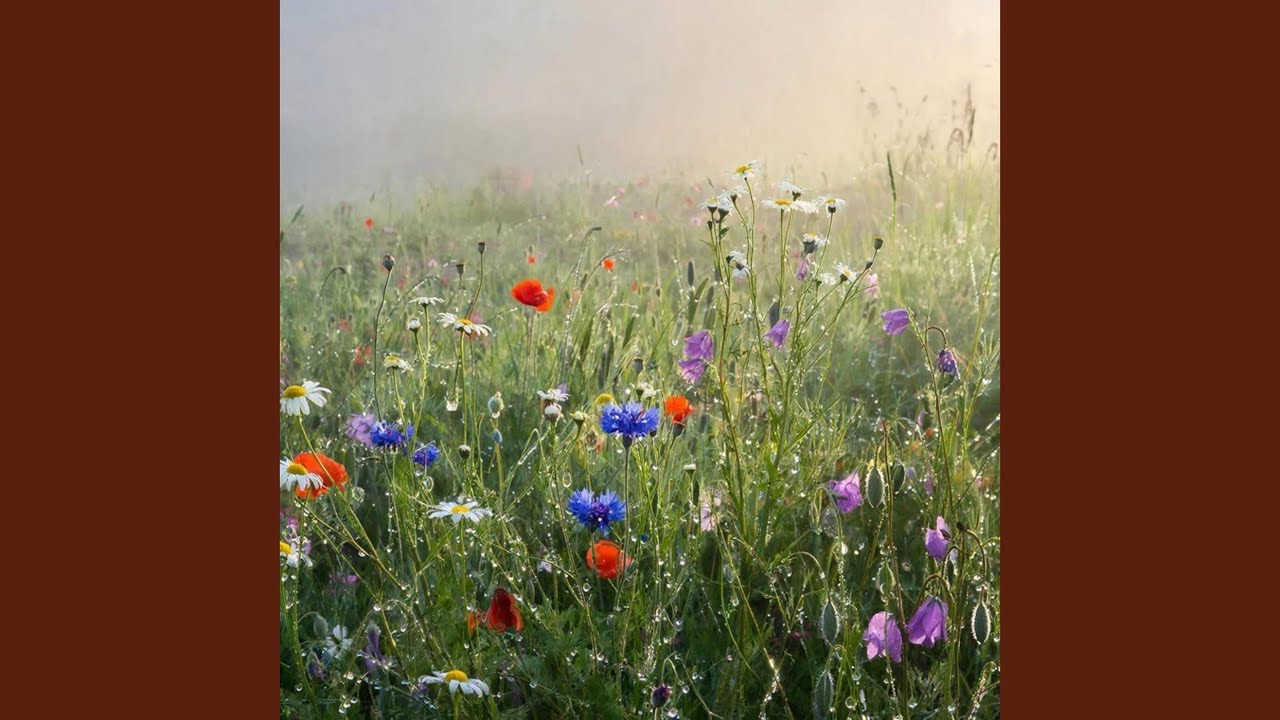 Ой, по утречку