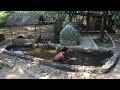 Primitive liferelaxingpool with fishs