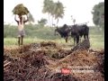 Anandpur's (Andhra Pradesh) amazing success