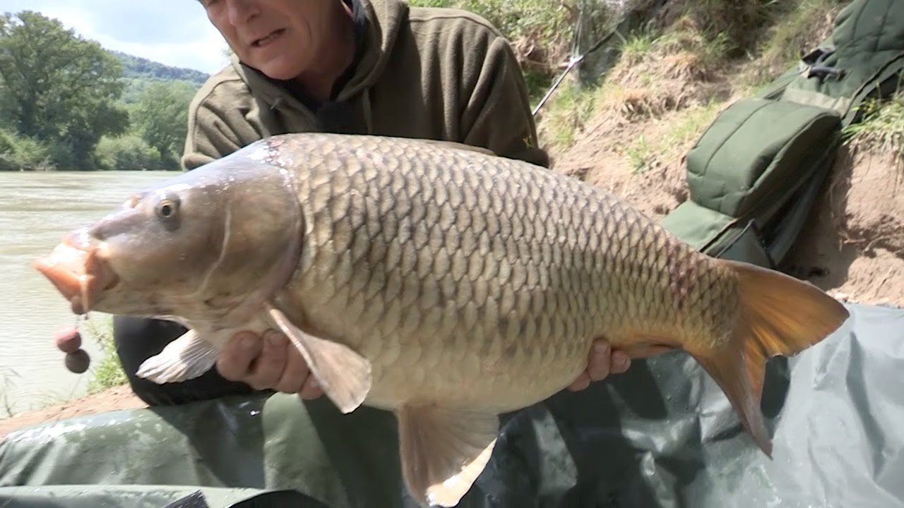 Carpfishing in fiume Ep.1 