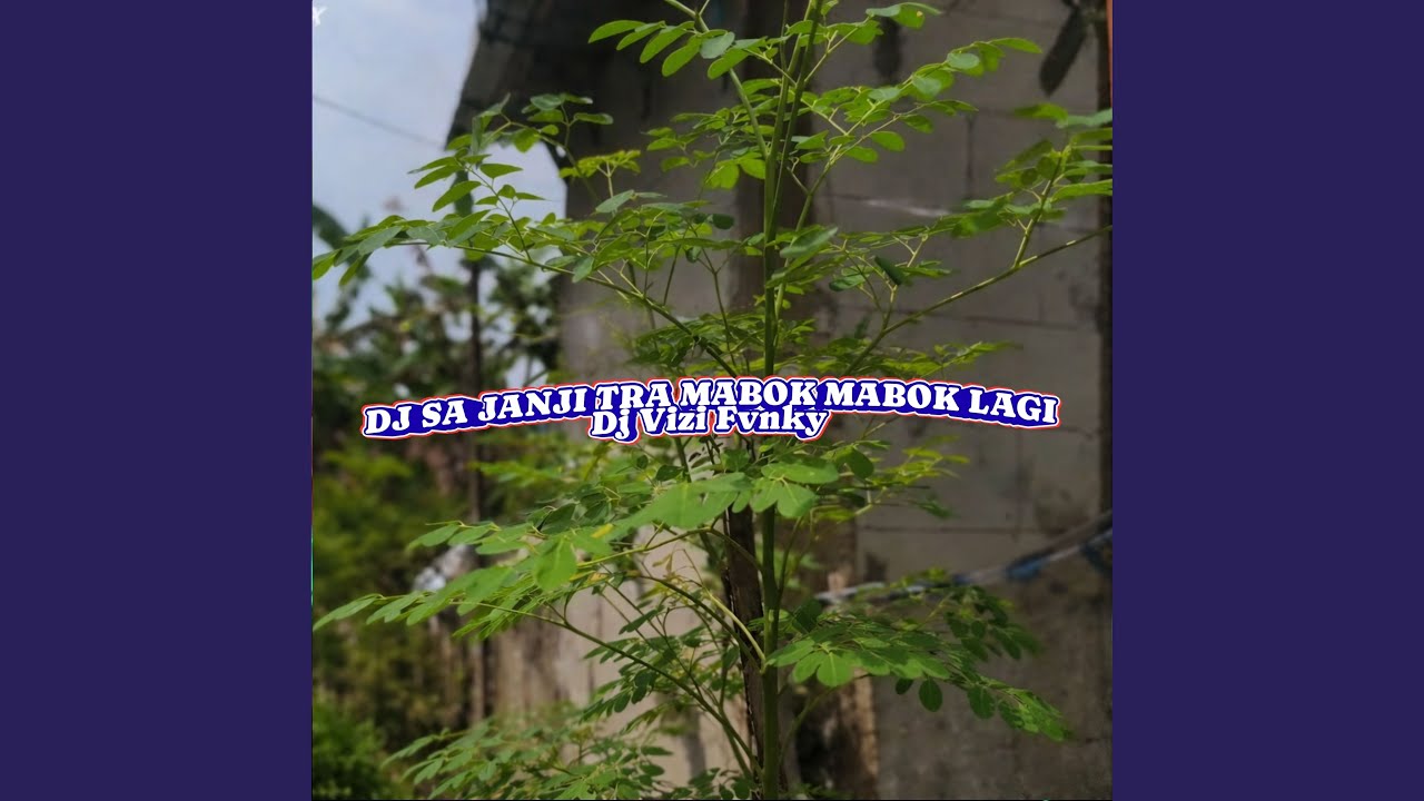 Dj Sa Janji Tra Mabok Mabok Lagi