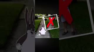 Big Chungas on TikTok #charliedamelio #bugchungasrules