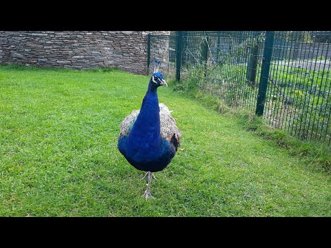 A day at wild life Centre in Dundee