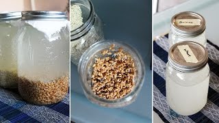 How to Make Rejuvelac [ for making vegan cheese]