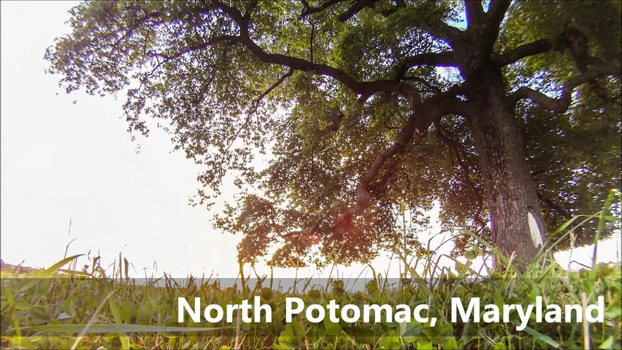 North Potomac Sunrise