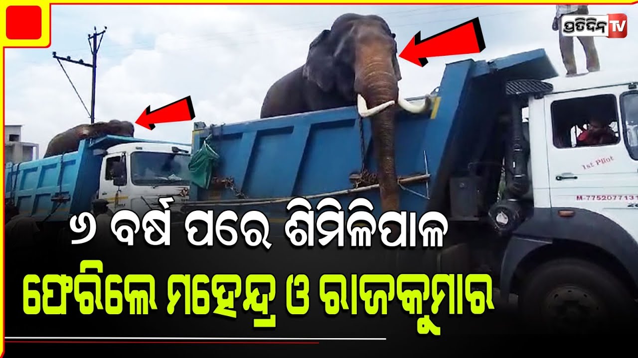 ୬ ବର୍ଷ ପରେ ଶିମିଳିପାଳ ଫେରିଲେ ମହେନ୍ଦ୍ର ଓ ରାଜକୁମାର