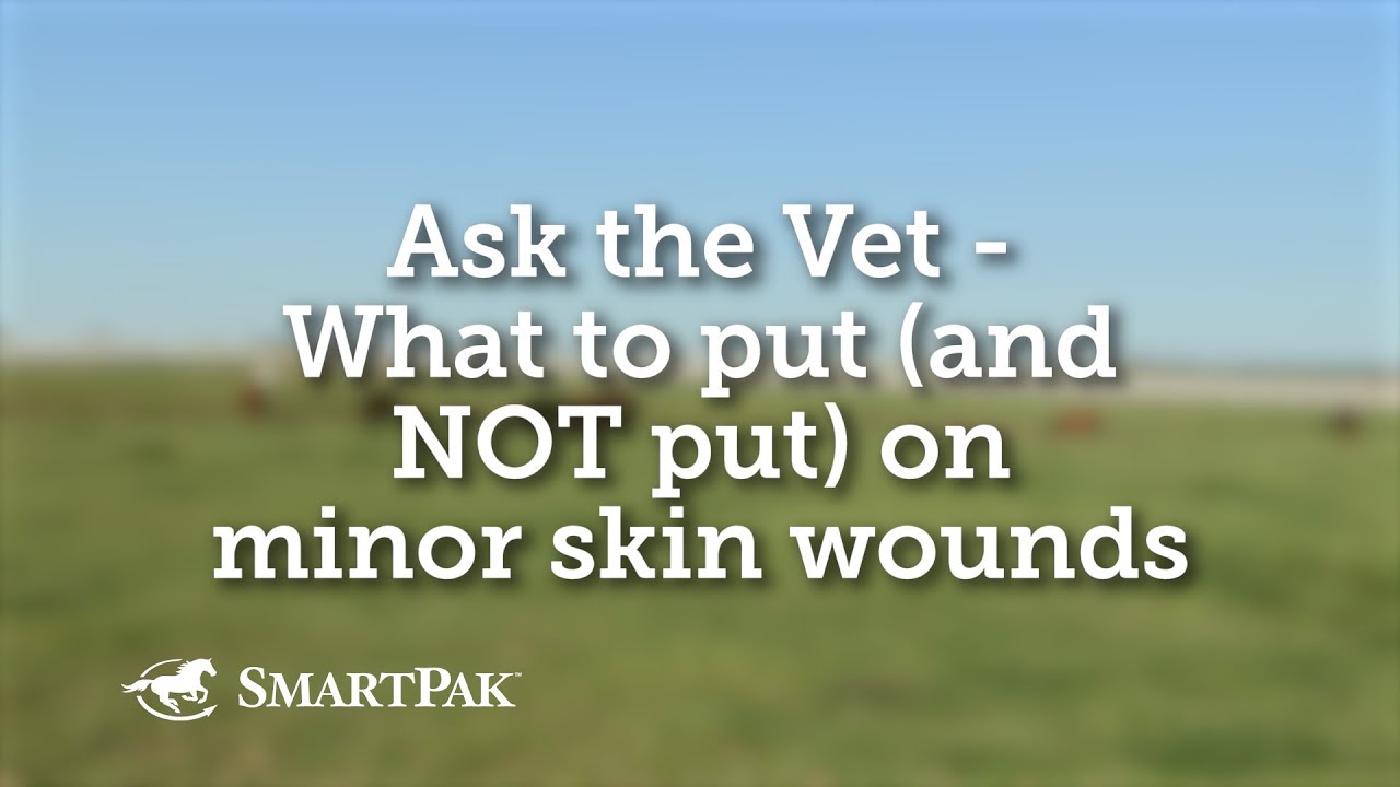 Ask the Vet - What to put and NOT put on minor skin wounds