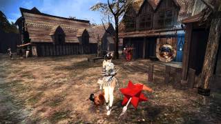 Vindictus Odd Glitch