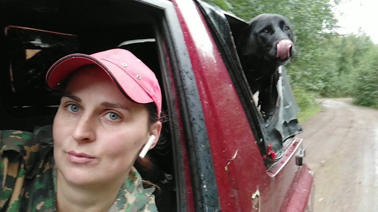 Поехала за яблоками. Отказал бензонасос в глуши. Эвакуация шевроле из ...