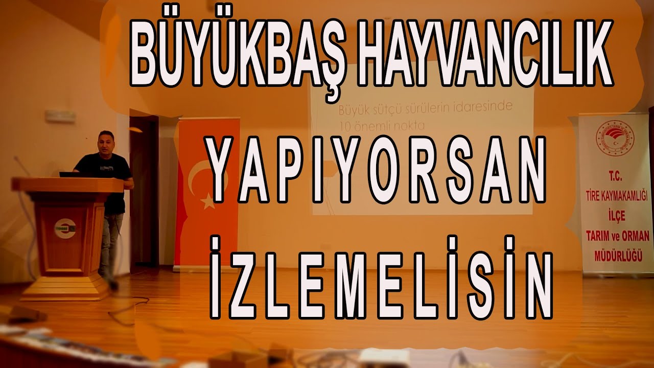 Büyükbaş Sürülerinde 10 önemli nokta Prof. Dr. Yaşar ERGÜN