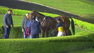 Jockey Club hipódromo en vivo