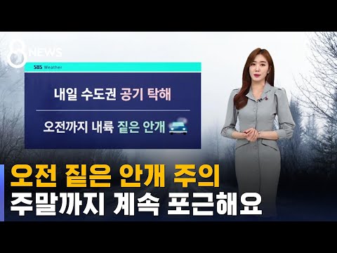 [날씨] 오전 짙은 안개 주의…주말까지 계속 포근해요 / SBS