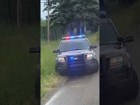 PSP 2018 Ford