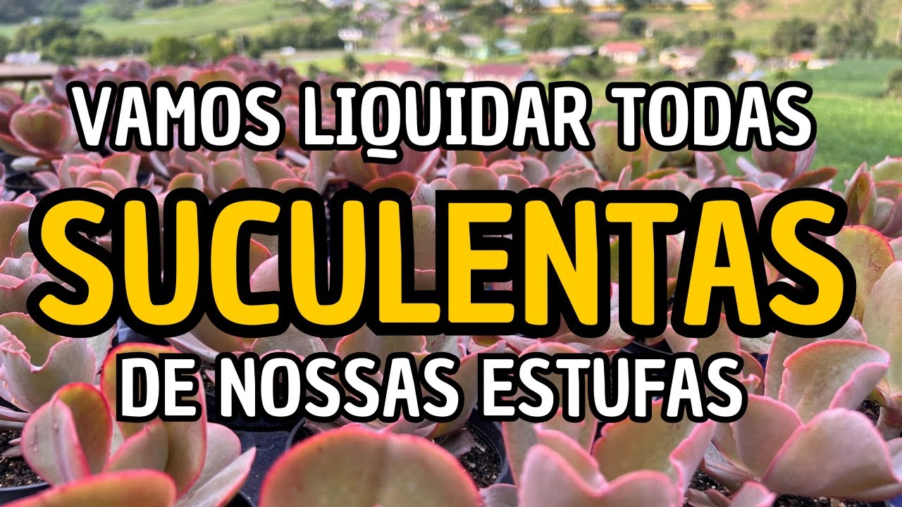 SERÁ UMA LOUCURA ESSA LIQUIDAÇÃO
