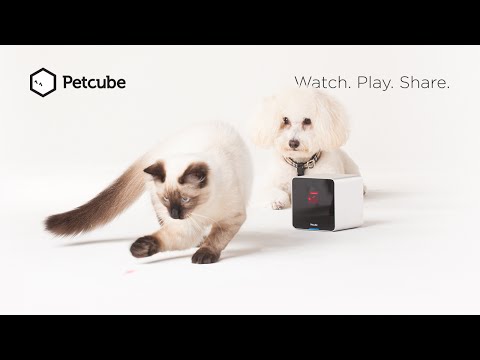 Petcube Camera: Stay connected to your pets when you are not at home