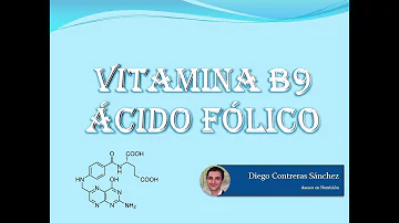 ¿Qué es la vitamina B9 y qué función tiene durante el desarrollo embrionario?