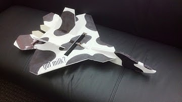 Scratch Built Profile F-22