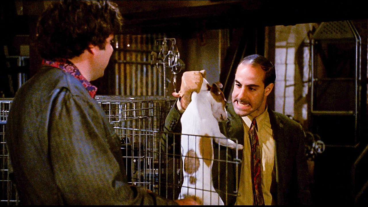 Стэнли Туччи — главный злодей | Бетховен