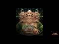 Shpongle - Celestial Intoxication