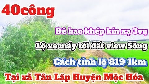Chào bán 40công Đất Lúa 3vụ lộ xe máy tới đất view kênh Tại xã Tân lập Mộc Hóa WtLh ☎️ 0335535649