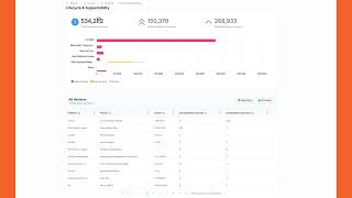Security Lifecycle &amp; Supportability Report