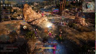 Black Desert - Node War - Zerk POV - ECHO vs TheExo vs Hostile