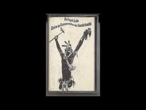 P.V.L.A. - Reflections