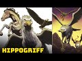 Hippogriff - The Majestic Winged Creature of Medieval Folklore