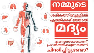 നമ്മൾ കുടിക്കുന്ന മദ്യം നമ്മുടെ ഉള്ളിൽ ചെന്ന ശേഷം എന്താണ് സംഭവിക്കുന്നത് എന്ന് ചിന്തിച്ചിട്ടുണ്ടോ?