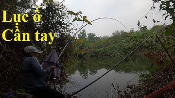 Câu lục ổ bằng cần tay và cách xả ổ đơn giản, HIỆU QUẢ  | 11-3-2024