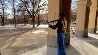Katy Perry Firework - Violincover by Beatrix Löw-Beer - New Years Eve 2020 musical Firework