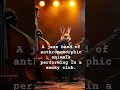 A jazz band of anthropomorphic animals performing in a smoky club. #technojazz #jazzcore #explore