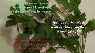 Conserver Persil Coriandre Menthe  يحفظ البقدونس والكزبرة والنعناع  Preserve Parsley Coriander Mint