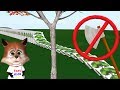 Do not cut trees | Do not trample flowers | Dominoes Falling with Bowling Balls For Children