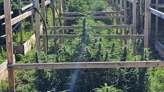 weekly update Aug 22 2022