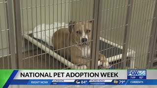 Lexington Humane Society partners for national pet adoption week