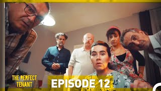 The Perfect Tenant  Episode 12